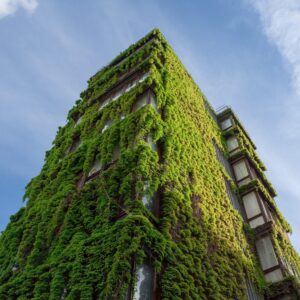 Green Building Solutions​